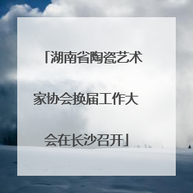 湖南省陶瓷艺术家协会换届工作大会在长沙召开