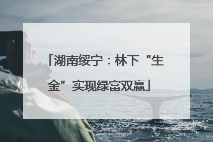 湖南绥宁：林下“生金”实现绿富双赢