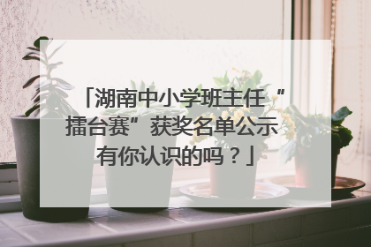 湖南中小学班主任“擂台赛”获奖名单公示 有你认识的吗？