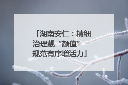 湖南安仁：精细治理靓“颜值” 规范有序增活力
