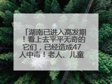 湖南已进入高发期！看上去平平无奇的它们，已经造成47人中毒！老人、儿童是高发人群