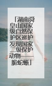 湖南舜皇山国家级自然保护区巡护发现国家二级保护动物——脆蛇蜥
