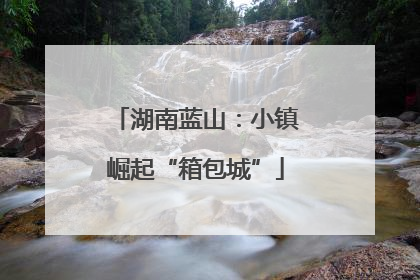 湖南蓝山：小镇崛起“箱包城”
