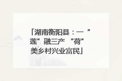 湖南衡阳县：一“莲”融三产 “荷”美乡村兴业富民