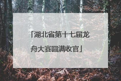 湖北省第十七届龙舟大赛圆满收官