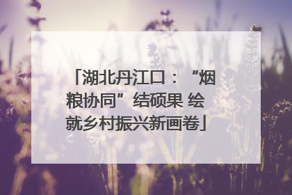 湖北丹江口：“烟粮协同”结硕果 绘就乡村振兴新画卷