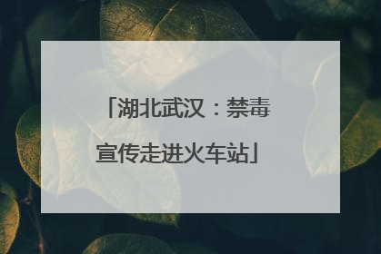 湖北武汉：禁毒宣传走进火车站