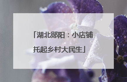 湖北郧阳：小店铺托起乡村大民生