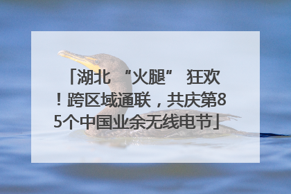 湖北 “火腿” 狂欢！跨区域通联，共庆第85个中国业余无线电节