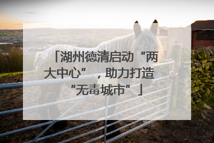 湖州德清启动“两大中心”，助力打造“无毒城市”