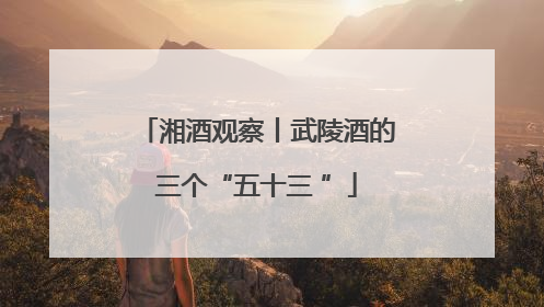 湘酒观察丨武陵酒的三个“五十三 ”