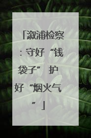 溆浦检察：守好“钱袋子” 护好“烟火气”