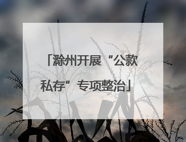 滁州开展“公款私存”专项整治