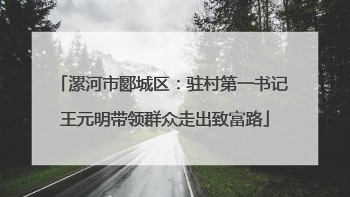 漯河市郾城区：驻村第一书记王元明带领群众走出致富路
