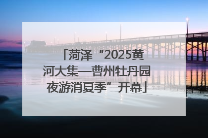 菏泽“2025黄河大集—曹州牡丹园夜游消夏季”开幕