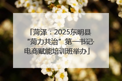 菏泽：2025东明县“菏力共治”第一书记·电商赋能培训班举办