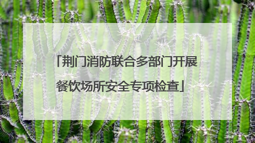 荆门消防联合多部门开展餐饮场所安全专项检查
