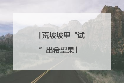 荒坡坡里“试”出希望果