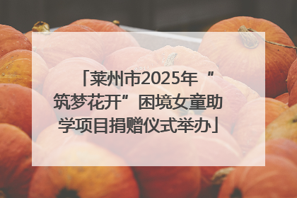 莱州市2025年“筑梦花开”困境女童助学项目捐赠仪式举办