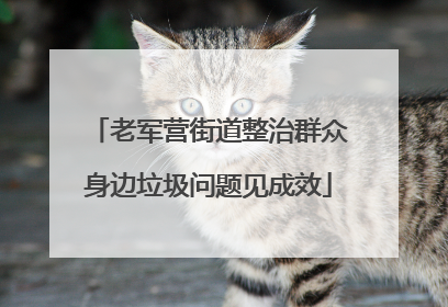 老军营街道整治群众身边垃圾问题见成效