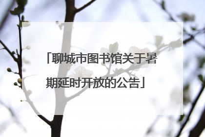 聊城市图书馆关于暑期延时开放的公告