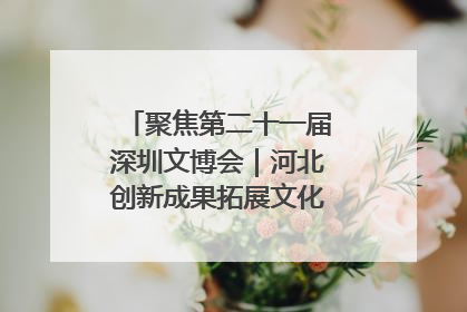 聚焦第二十一届深圳文博会｜河北创新成果拓展文化产业“朋友圈”