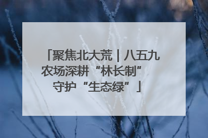 聚焦北大荒｜八五九农场深耕“林长制” 守护“生态绿”