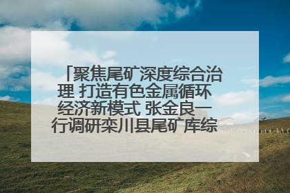 聚焦尾矿深度综合治理 打造有色金属循环经济新模式 张金良一行调研栾川县尾矿库综合治理工作