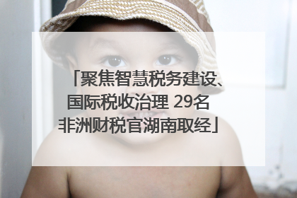 聚焦智慧税务建设、国际税收治理 29名非洲财税官湖南取经