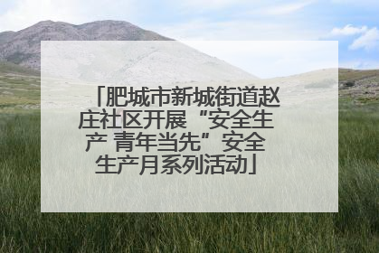 肥城市新城街道赵庄社区开展“安全生产 青年当先”安全生产月系列活动