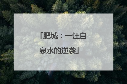 肥城：一汪自泉水的逆袭
