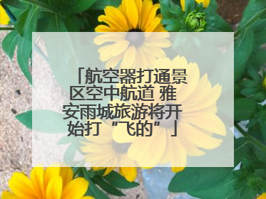 航空器打通景区空中航道 雅安雨城旅游将开始打“飞的”