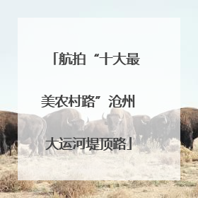 航拍“十大最美农村路”沧州大运河堤顶路