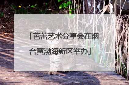 芭蕾艺术分享会在烟台黄渤海新区举办