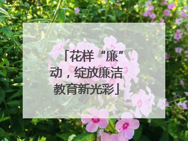 花样“廉”动，绽放廉洁教育新光彩