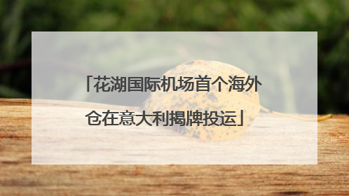 花湖国际机场首个海外仓在意大利揭牌投运