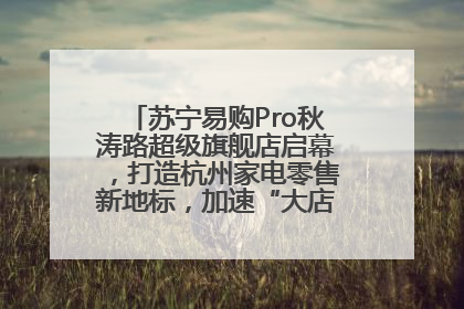 苏宁易购Pro秋涛路超级旗舰店启幕，打造杭州家电零售新地标，加速“大店攻略”全省布局