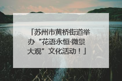 苏州市黄桥街道举办“花语永恒·微景大观”文化活动！