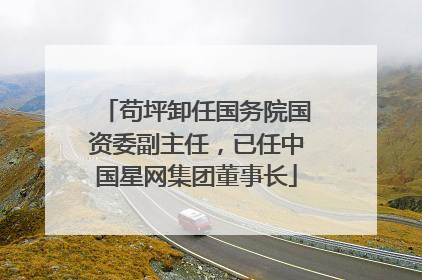 苟坪卸任国务院国资委副主任，已任中国星网集团董事长