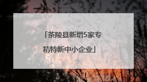 茶陵县新增5家专精特新中小企业