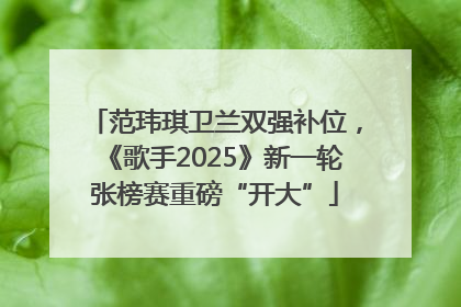 范玮琪卫兰双强补位，《歌手2025》新一轮张榜赛重磅“开大”