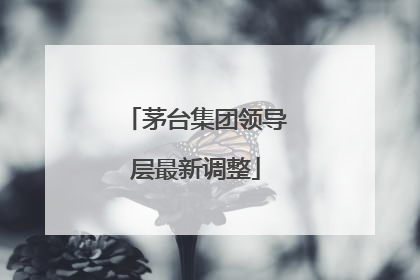 茅台集团领导层最新调整
