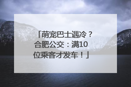 萌宠巴士遇冷？合肥公交：满10位乘客才发车！