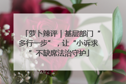 萝卜辣评｜基层部门“多行一步”，让“小诉求”不缺席法治守护