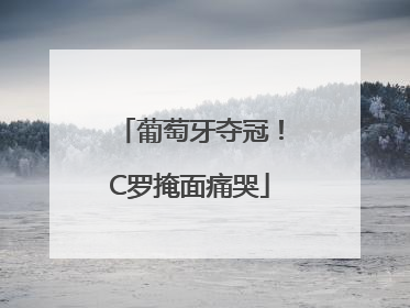 葡萄牙夺冠！C罗掩面痛哭