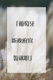 葡萄牙新政府宣誓就职