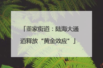 董家街道：陆海大通道释放“黄金效应”
