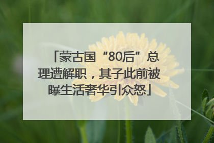 蒙古国“80后”总理遭解职，其子此前被曝生活奢华引众怒