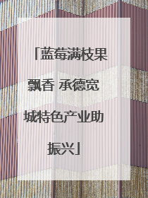 蓝莓满枝果飘香 承德宽城特色产业助振兴