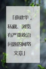 薛建华，私藏、浏览有严重政治问题的网络文章